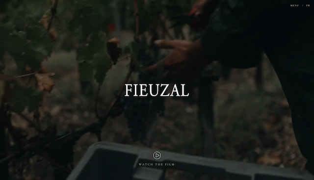 Screenshot of fieuzal.com